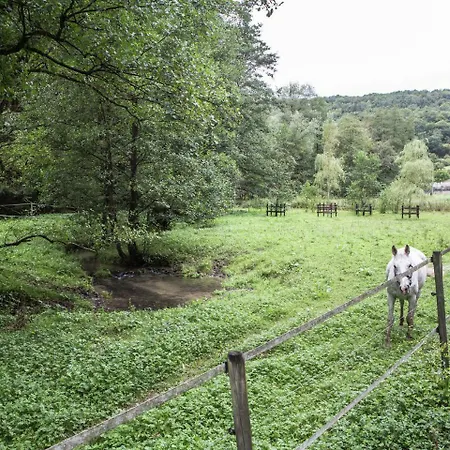 Ferienhaus Vintage Holiday Home in Verlaine-Sur-Ourthe with Valley View